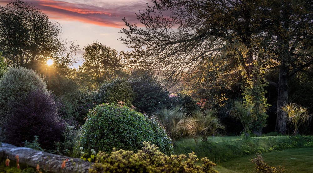 The area surrounding Court, Cornwall at Court in Falmouth, Cornwall