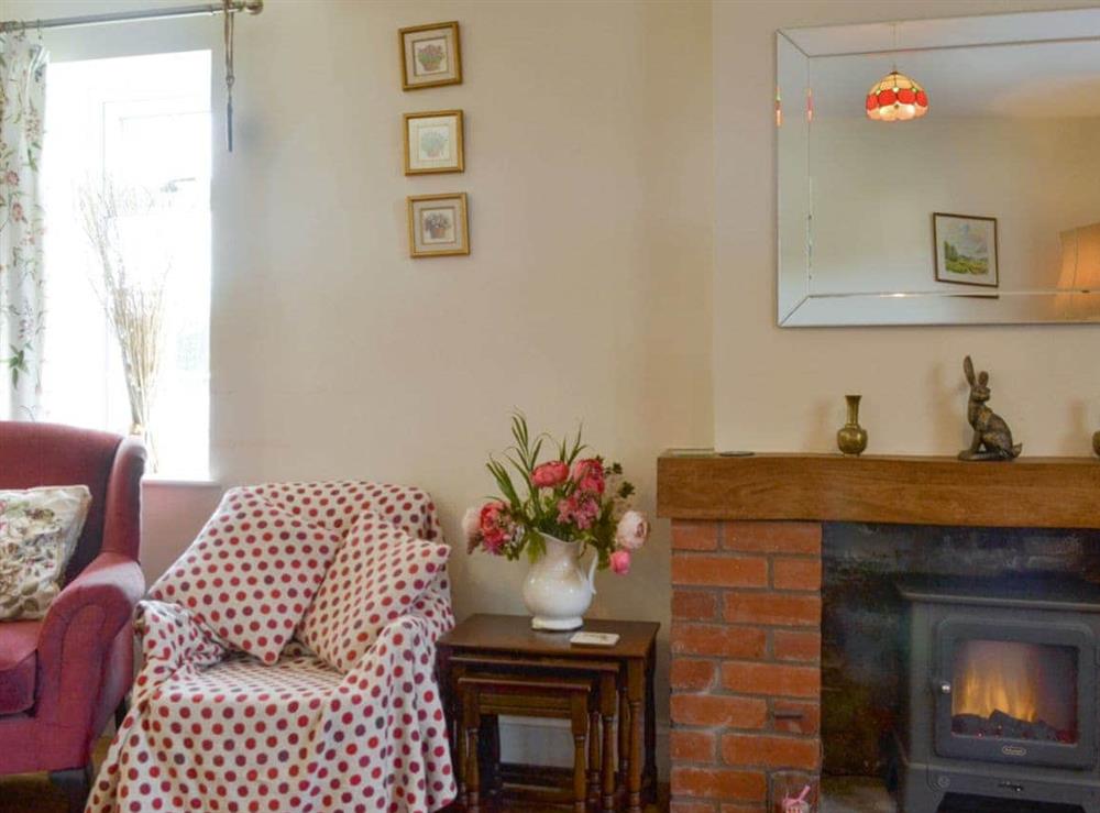 Welcoming living room with wood burner at Court House in Hay-on-Wye, Powys