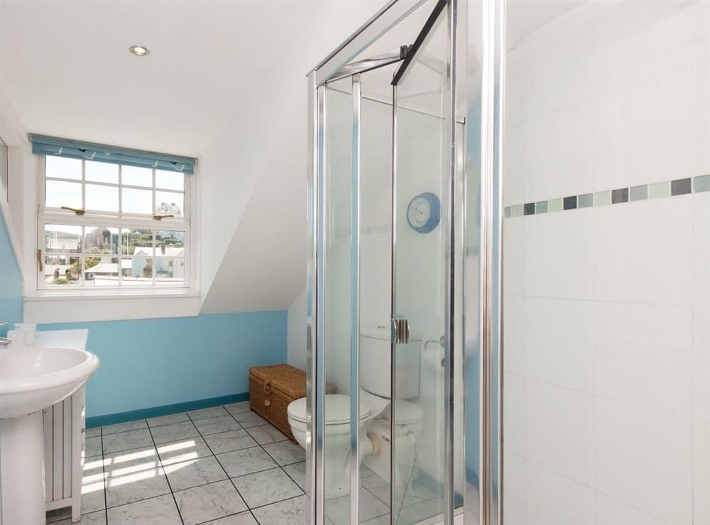 Shower room at Courtenay Street 24 in Cliff Rd/Courtenay, Devon