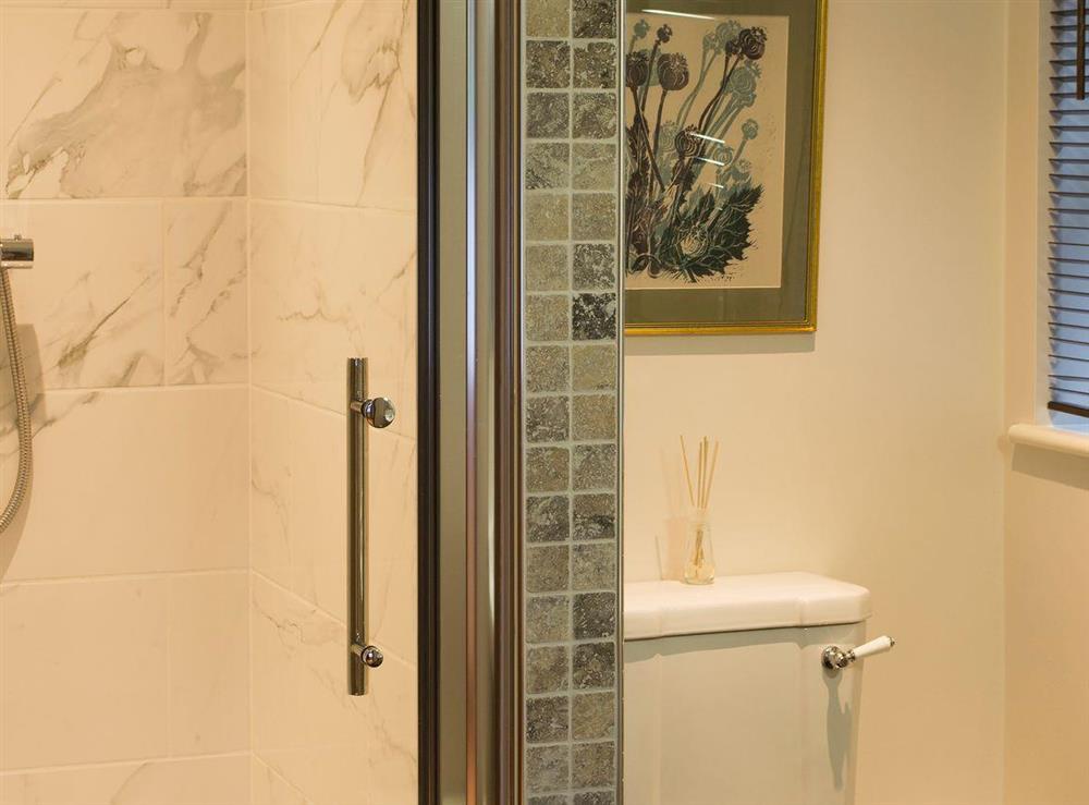En-suite shower room with cubicle at Courtside in Fairfield, near Appledore, Kent