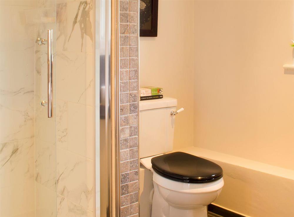 En-suite with shower cubicle at Courtside in Fairfield, near Appledore, Kent