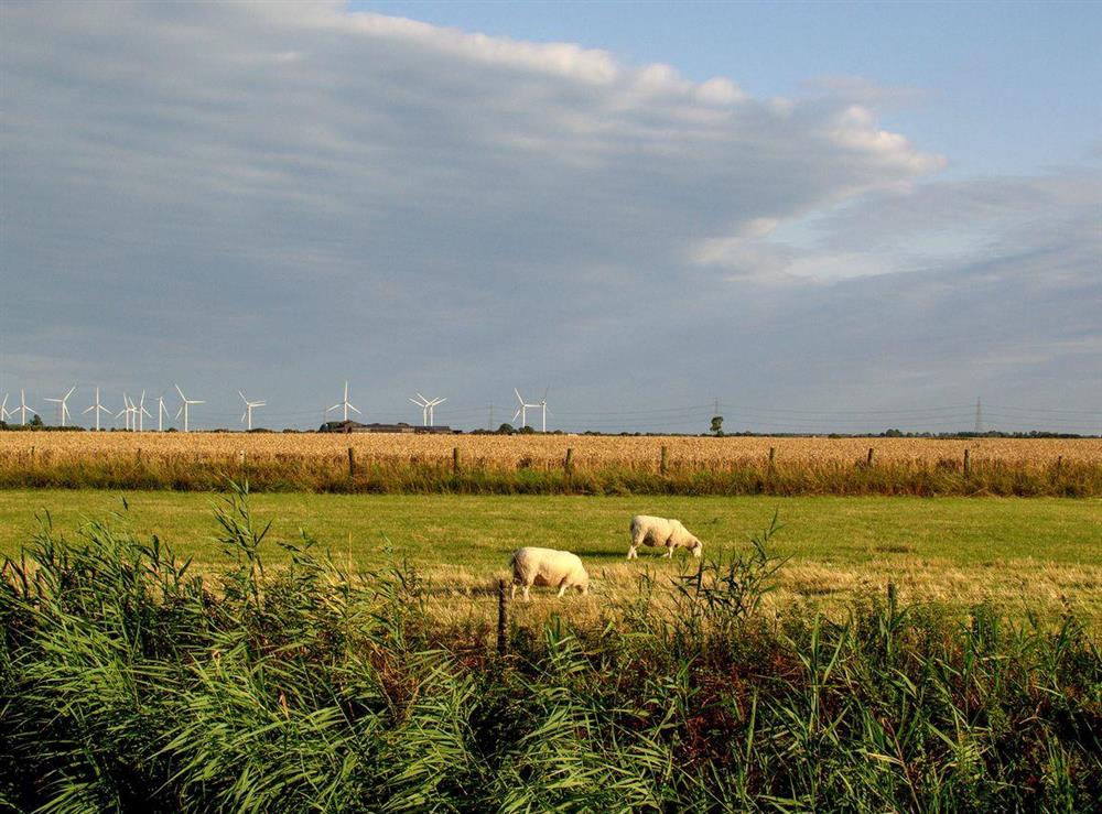 Extensive views over the famous Romney Marsh at Courtside in Fairfield, near Appledore, Kent