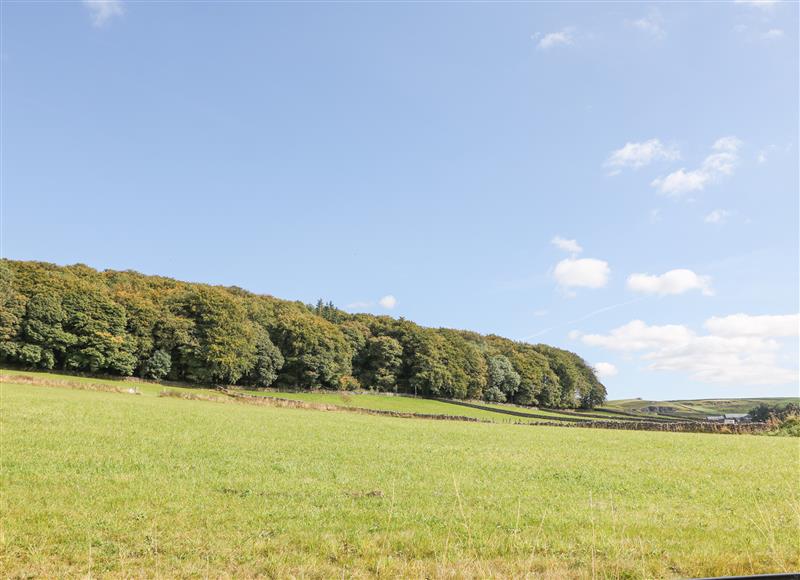 The area around Courtyard Cottage