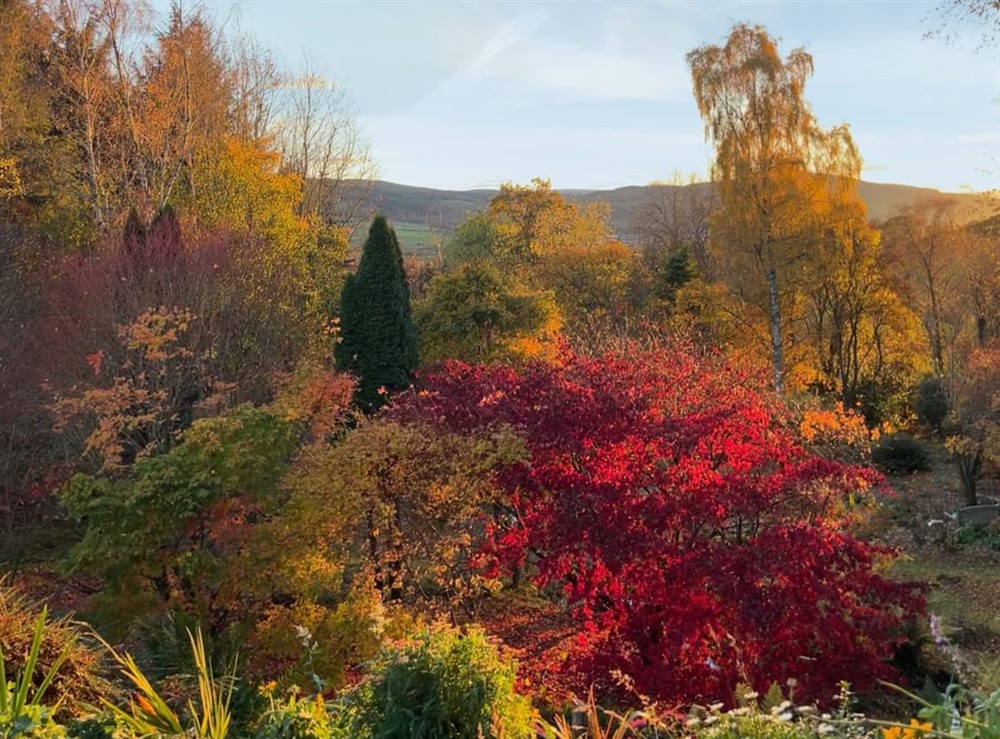 View at Courtyard Cottage in Strathtay, Perthshire