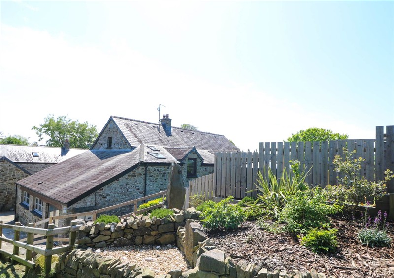 Outside (photo 3) at Cove Cottage, Llangrannog
