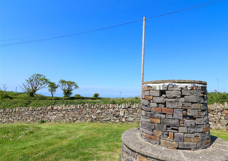 The garden (photo 2) at Cove Cottage, Llangrannog
