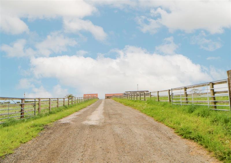 Rural landscape (photo 2) at Cow Corner, Borrowby near Northallerton