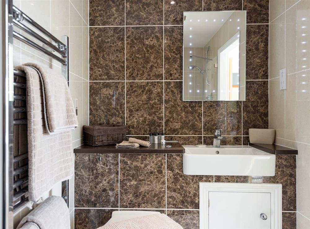 En-suite with walk-in shower and toilet at Cow Pasture Cottage in South Elkington, near Louth, Lincolnshire