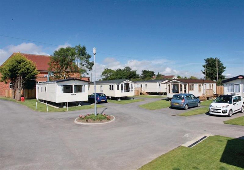 The park setting (photo number 11) at Cowden Holiday Park in , Yorkshire