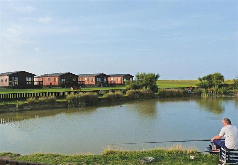 The park setting (photo number 13) at Cowden Holiday Park in , Yorkshire