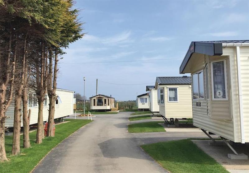 The park setting (photo number 4) at Cowden Holiday Park in , Yorkshire