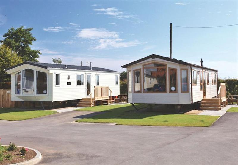 The park setting (photo number 5) at Cowden Holiday Park in , Yorkshire