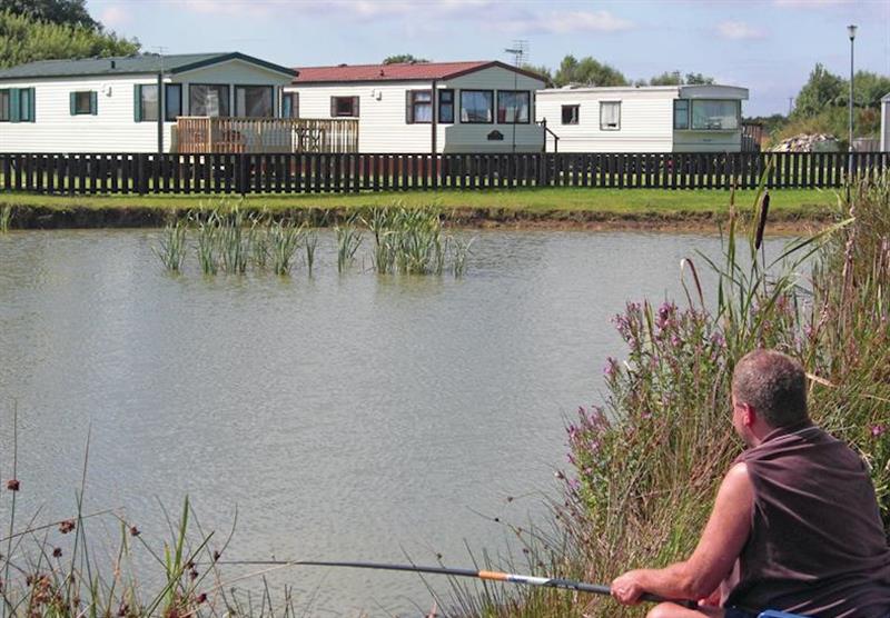 The park setting at Cowden Holiday Park in , Yorkshire
