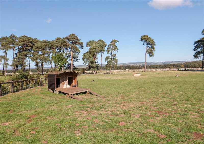 This is the garden (photo 2) at Cowshed Cottage, East Knapton near Rillington