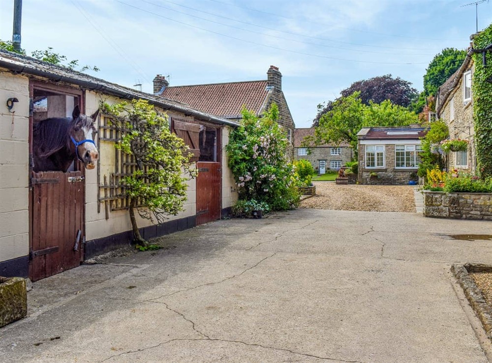 Exterior (photo 4) at Cowslip Cottage in Levisham near Pickering, North Yorkshire