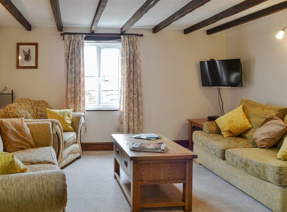 Comfortable living room at Cowslip in Holsworthy, Devon