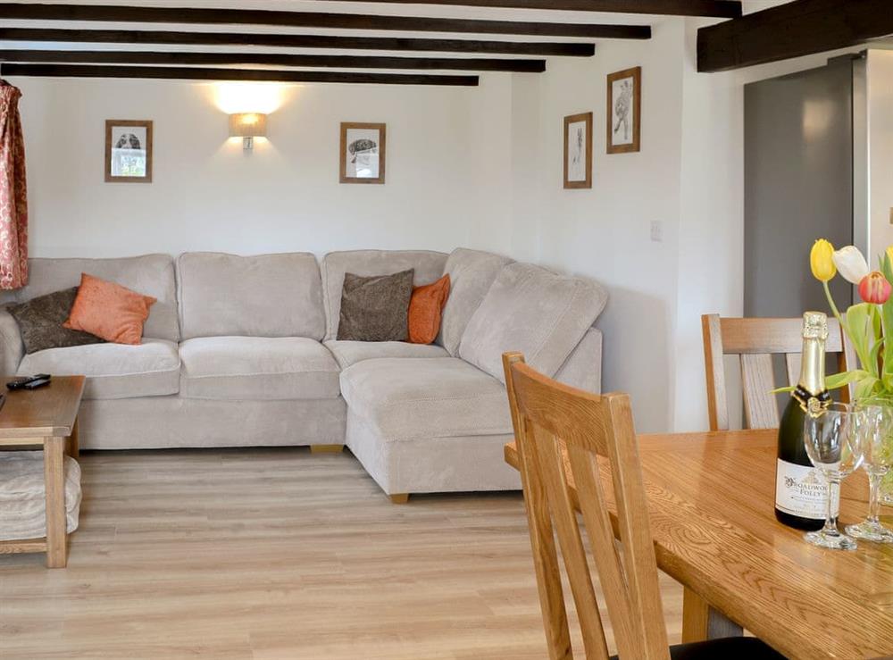 Comfy living area at Cowslip in Holsworthy, Devon
