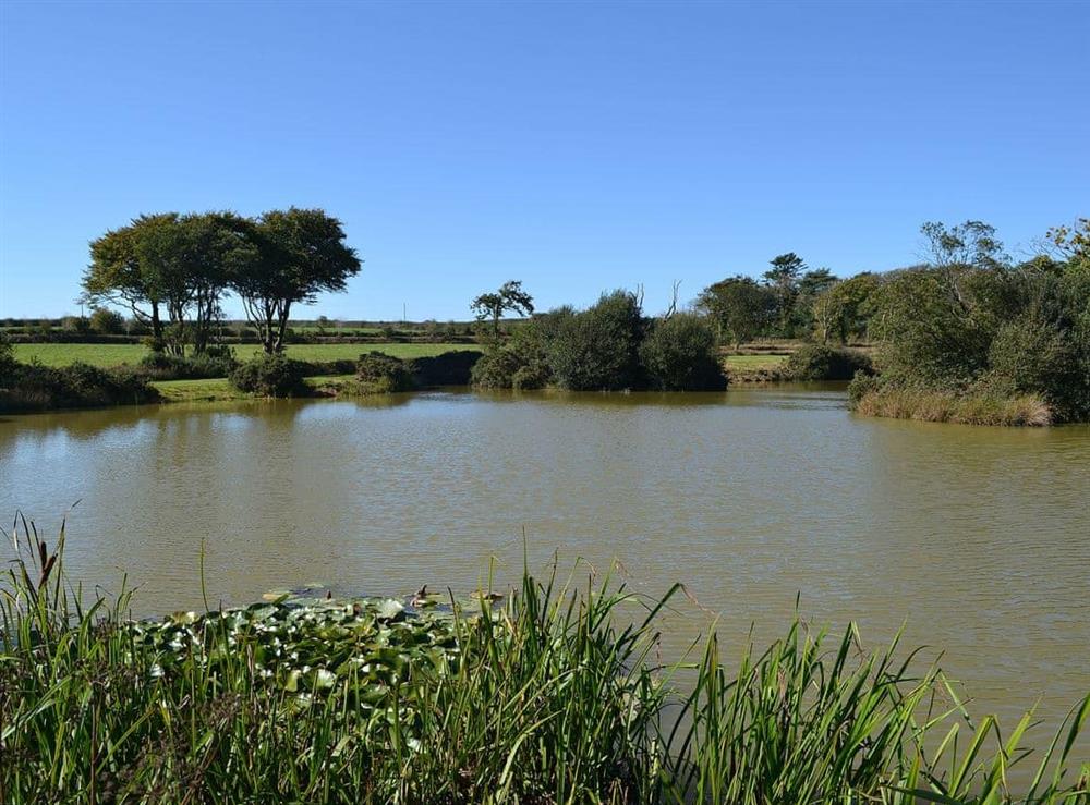One of the fishing lakes in the grounds available to guests at Cowslip in Holsworthy, Devon