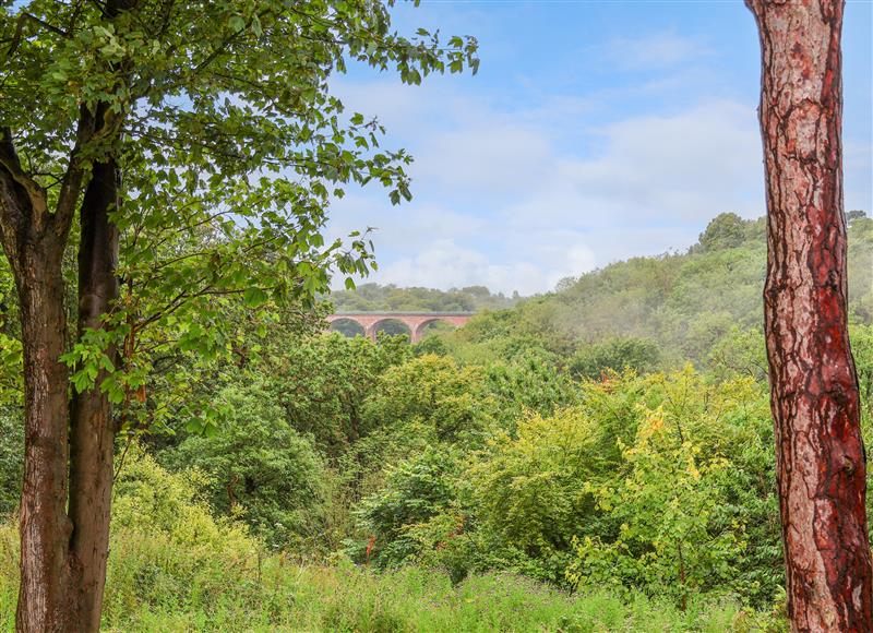 Rural landscape