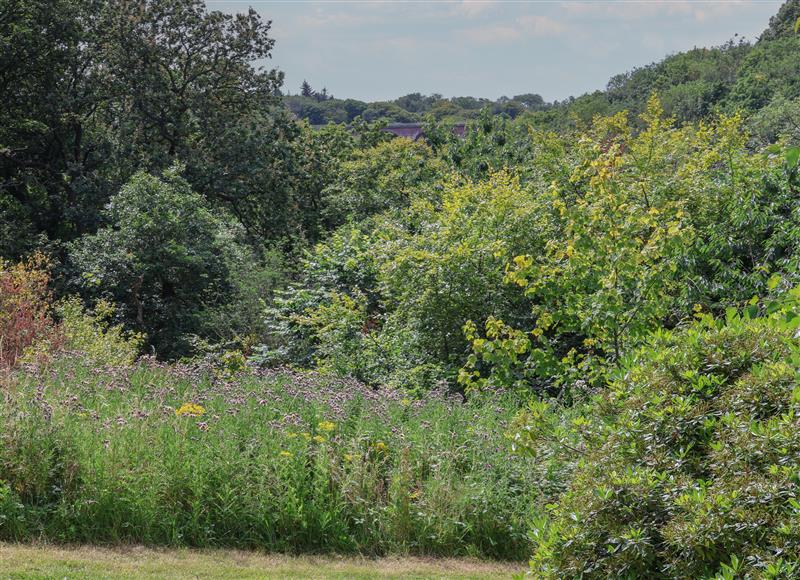 The area around Cowslip