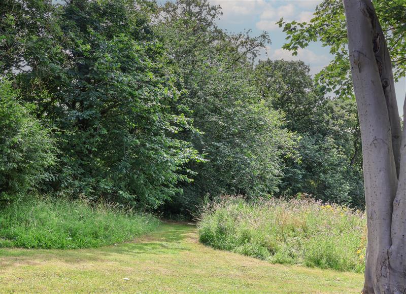 The setting around Cowslip