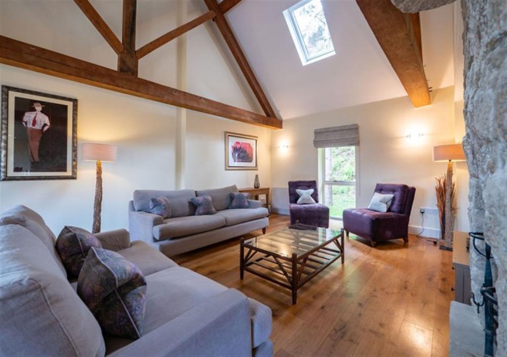 Stunning spacious sitting room high vaulted ceilings at Cox Tor in Chagford