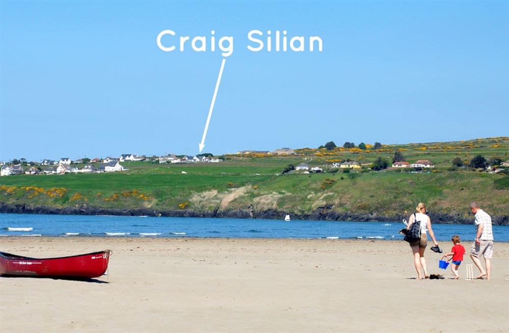 A photo of Craig Silian