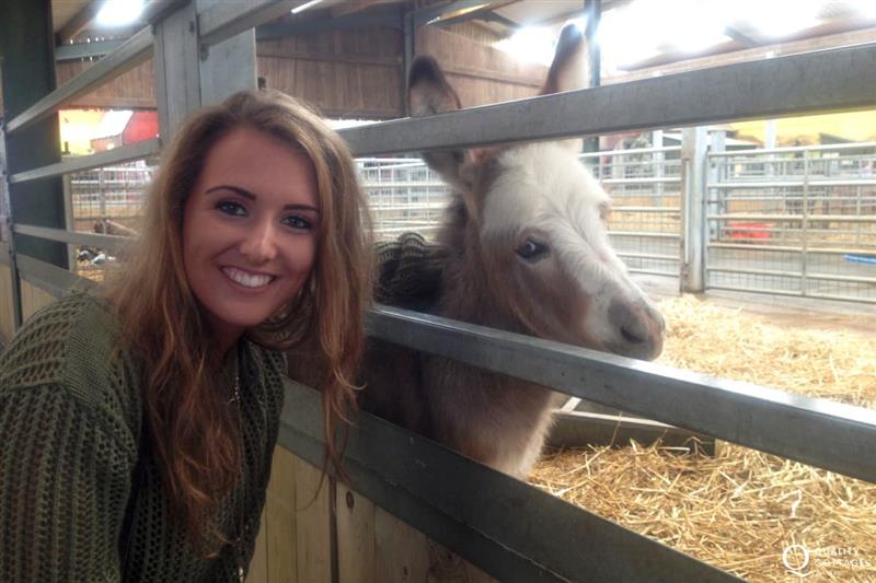 Picton Castle, Heatherton Sports Park and Folly Farm for family days out within an easy drive at Craig Silian, Gwbert
