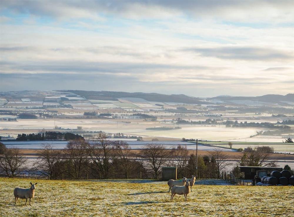 Winter mist hanging in the valley of Strathmore close by