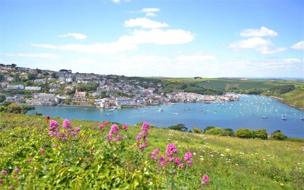 Salcombe harbour in all its glory at Craiglands in Salcombe