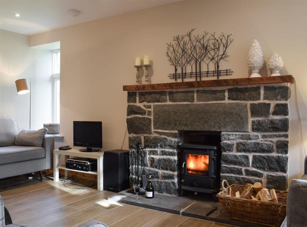 Cosy living area with wood burner (photo 2) at Craigmuick Cottage in Aberfoyle, Stirlingshire