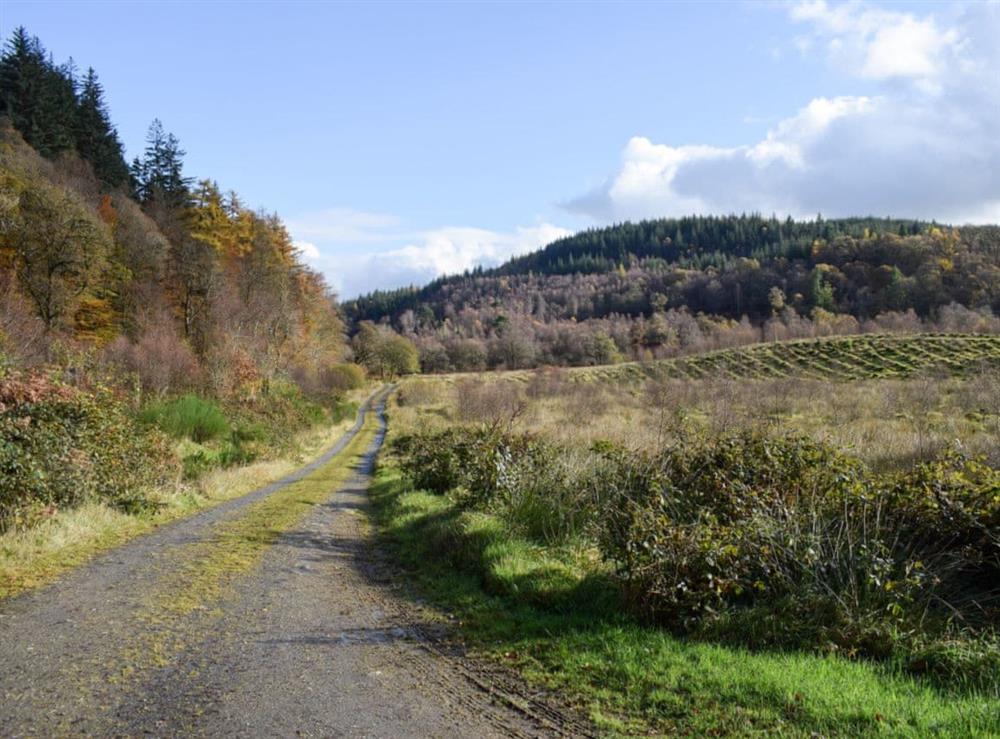 Driveway to the property at Craigmuick Cottage in Aberfoyle, Stirlingshire