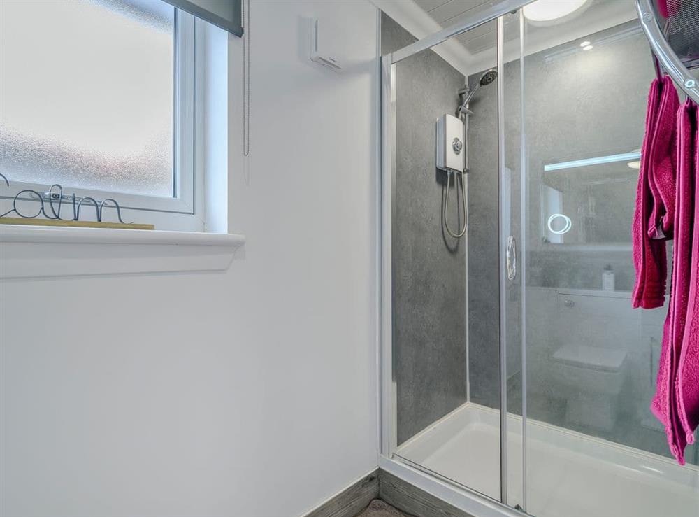 Shower room (photo 5) at Craigpark Lodge in Caldercruix, near Airdrie, Lanarkshire