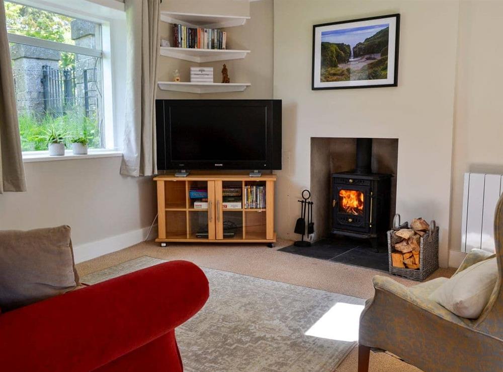 Living area at Craigrannoch Cottage in Dalbeattie, Kirkcudbrightshire