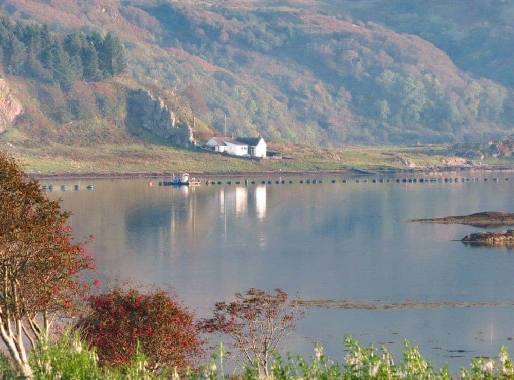 Viewed from across the Seil Sound at Craiguillean in Ardmaddy Castle, Nr Oban, Argyll., Great Britain