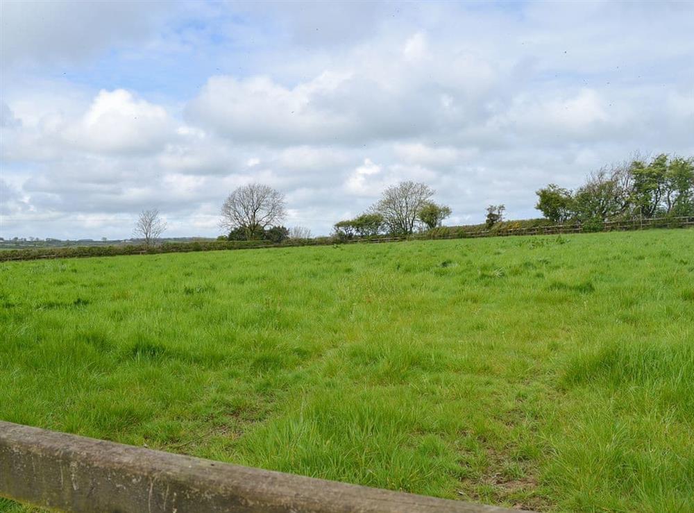 Half-acre field shared with owner and UK10938