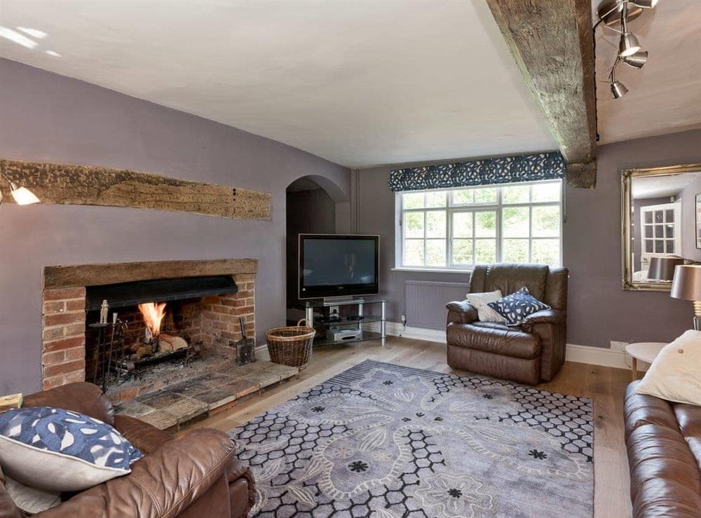 Cosy living room with TV & real fire at Cravens Manor in Henham, near Southwold, Suffolk
