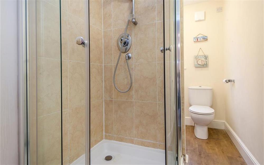 Shower room at Crays Cottage in Lyme Regis