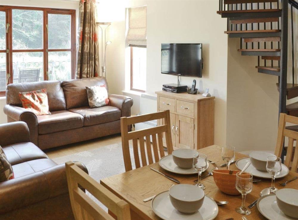 Delightful open plan living space at Creekside in Wadebridge, near Padstow, Cornwall