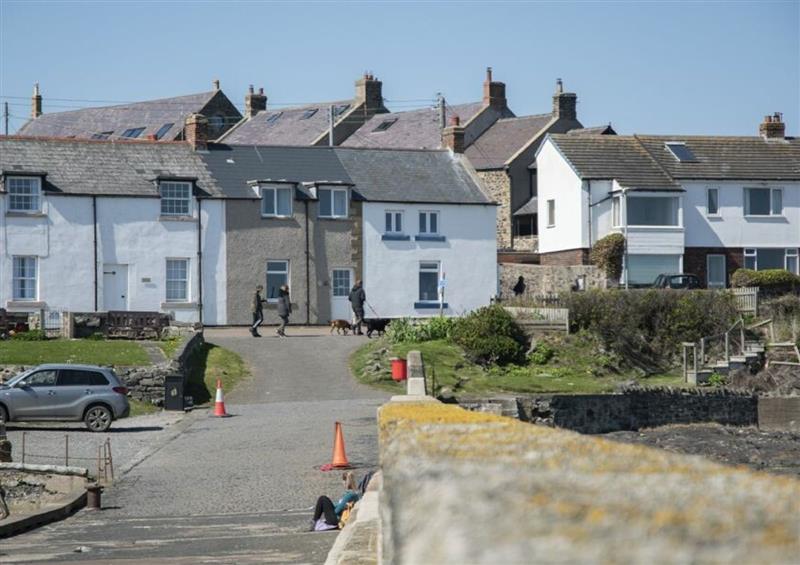 This is the setting of Creel Cottage, Craster at Creel Cottage, Craster, Craster