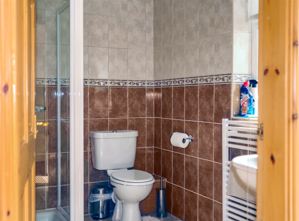 Bathroom at Gelli Gron (Open Pastures), 