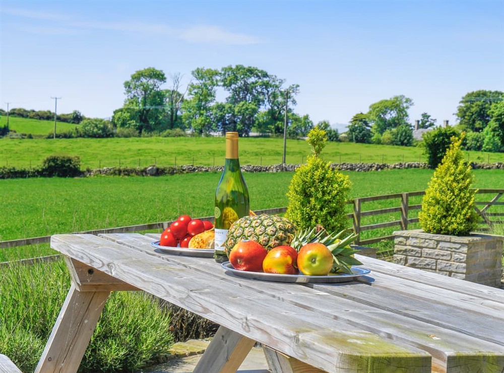 Outdoor area (photo 2) at Gelli Gron (Open Pastures), 
