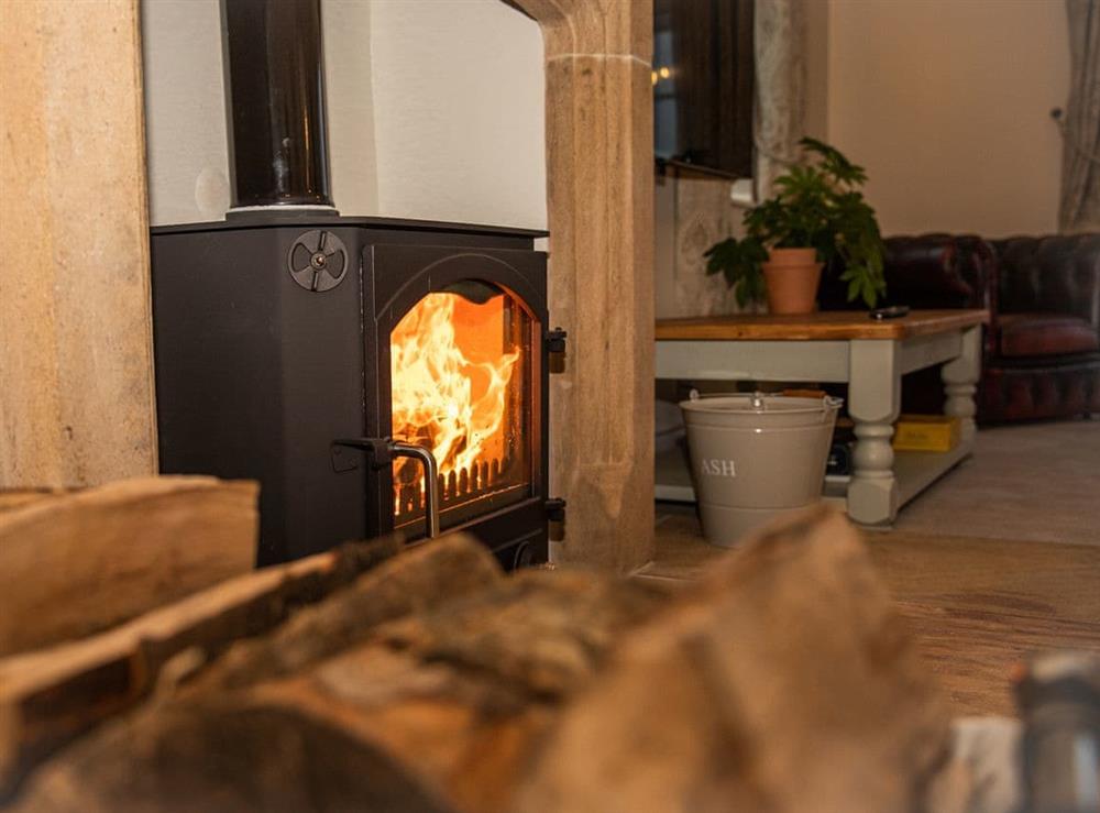 Wonderfully cosy woodburner, for warming those winter nights. Kindling & logs provided at Crickledown in High Ham, Langport, Somerset