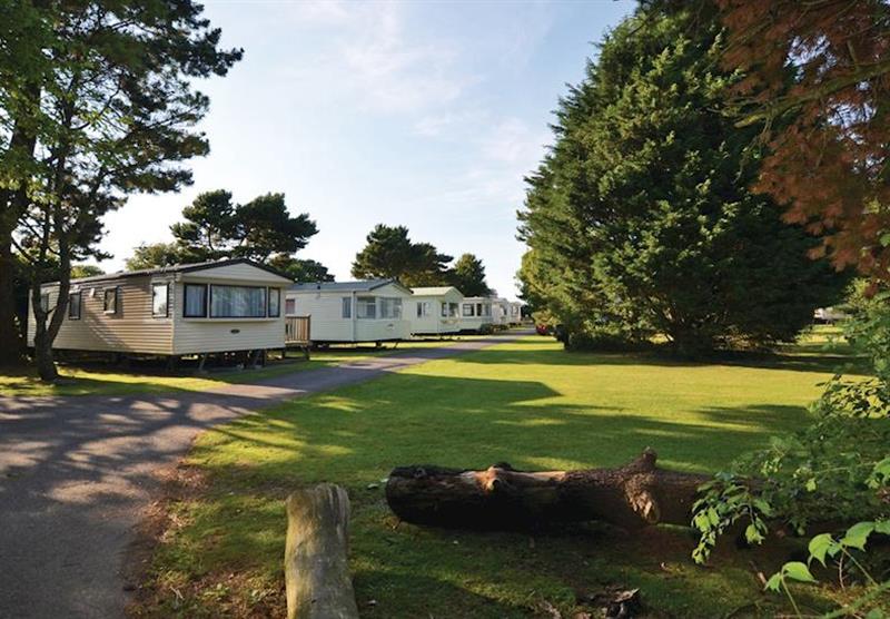 The park setting (photo number 3) at Croft Holiday Park in Reynalton, Nr Narberth, South Wales