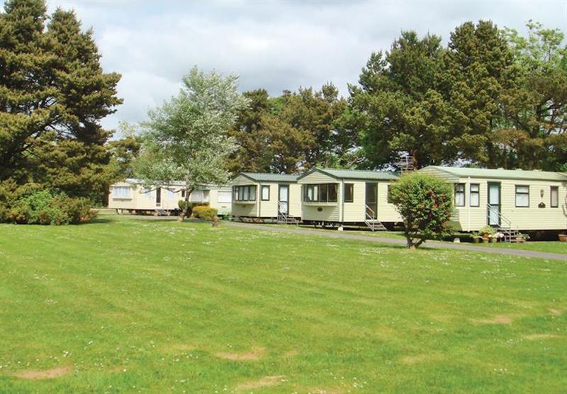 The park setting at Croft Holiday Park in Reynalton, Nr Narberth, South Wales