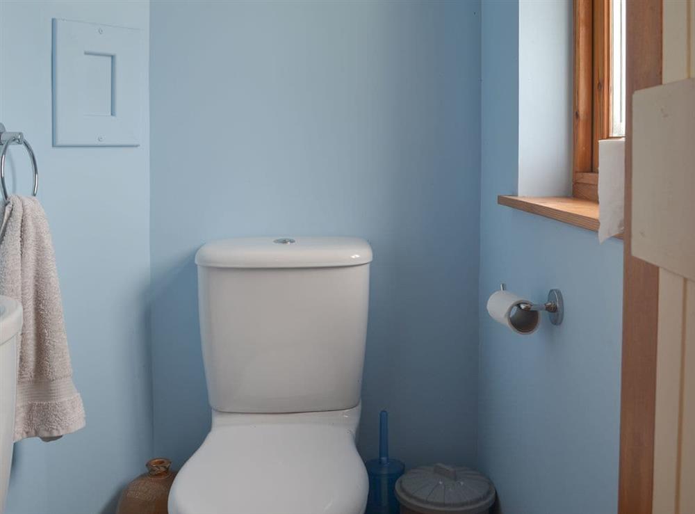 Cloakroom toilet
