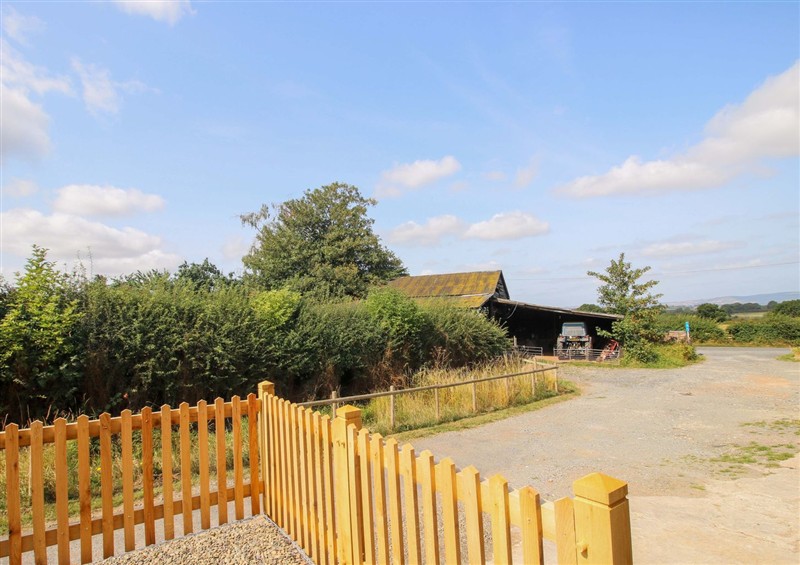 This is the garden at Crook Barn, Tenbury Wells