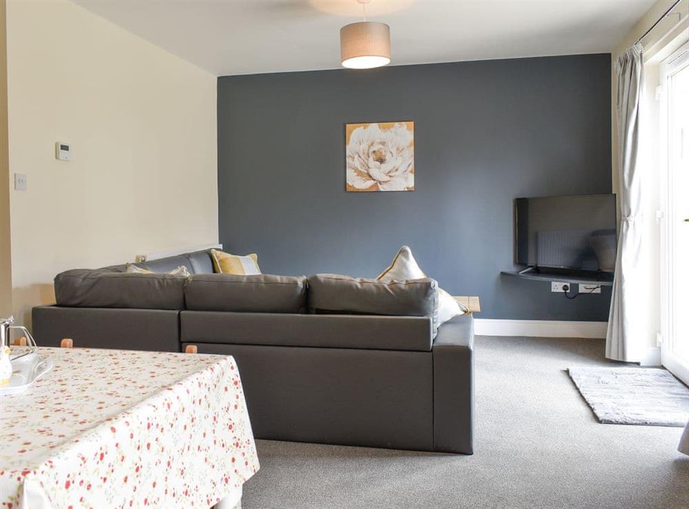 Typical Open plan living space at Seven Dorchester Drive, 