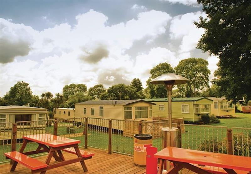 The park setting (photo number 2) at Cross Park Holiday Village in Broadmoor, Nr Saundersfoot