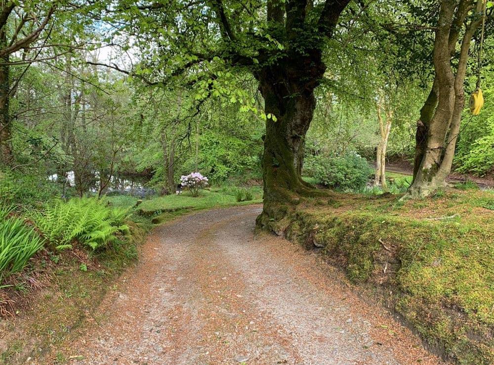 Picturesque woodland grounds and stream at Crossburn Hideaway in Arden, near Helensburgh, Argyll and Bute, Dumbartonshire
